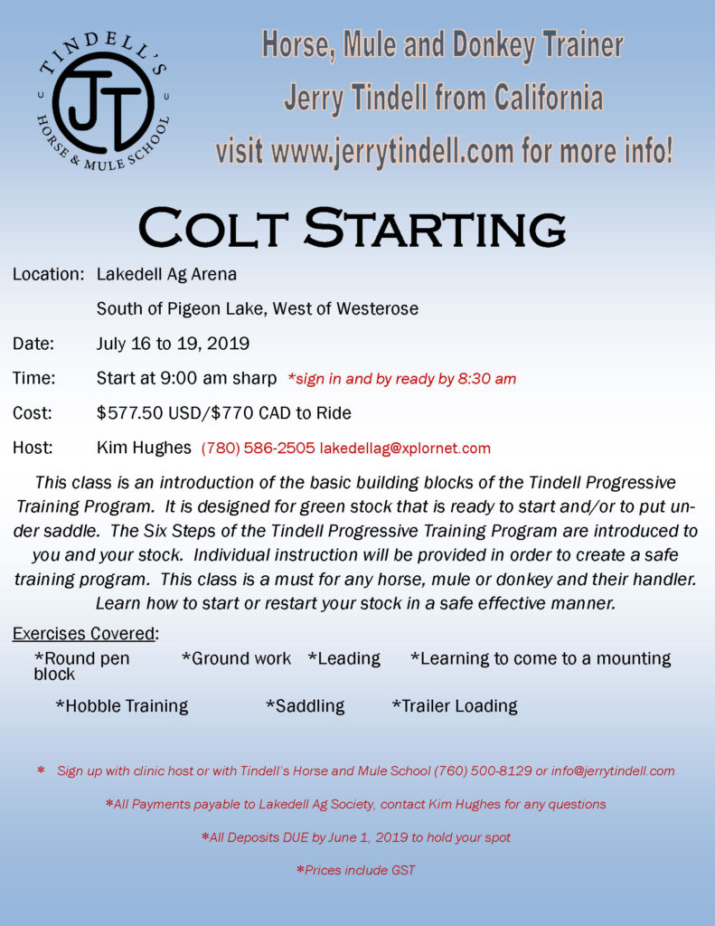 07-16-19Colt-Starting-Flyer-Lakedell